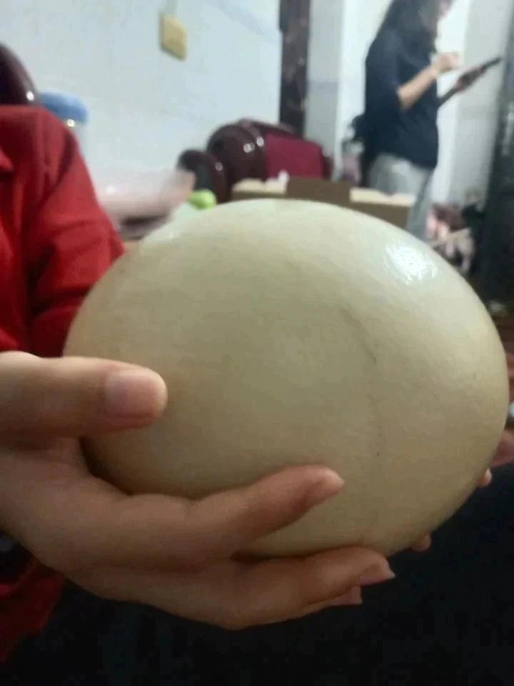 家常烧卖(爸爸的味道)