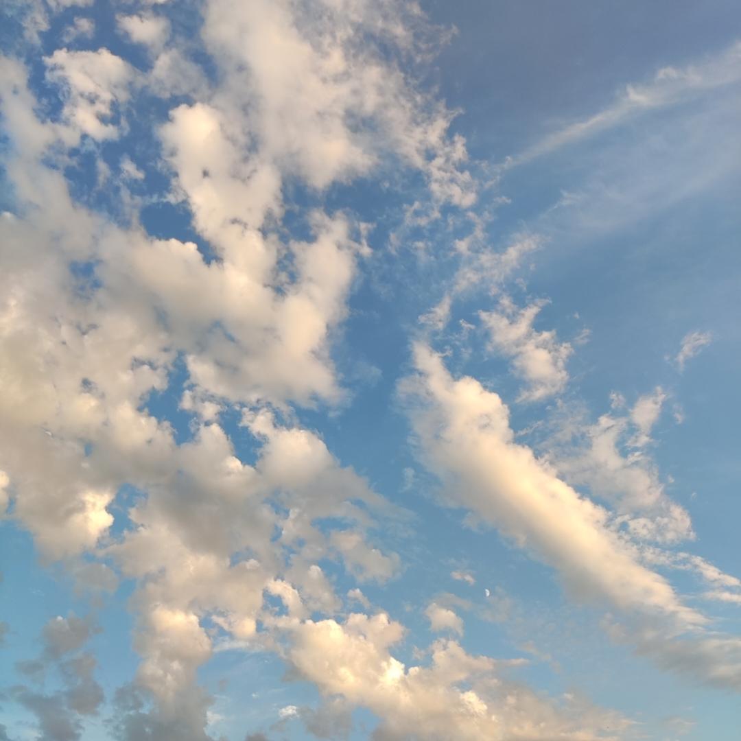 四小麦子