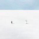 门门小门门