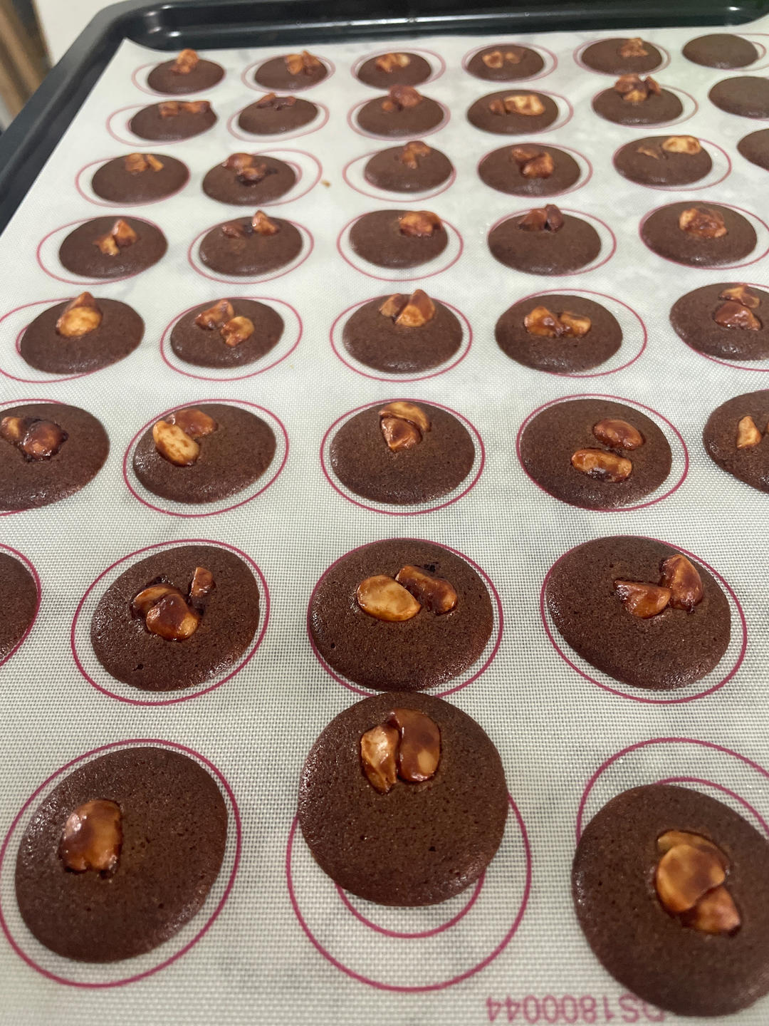 网红珍妮脆脆 巧克力脆脆 坚果脆 可可脆片