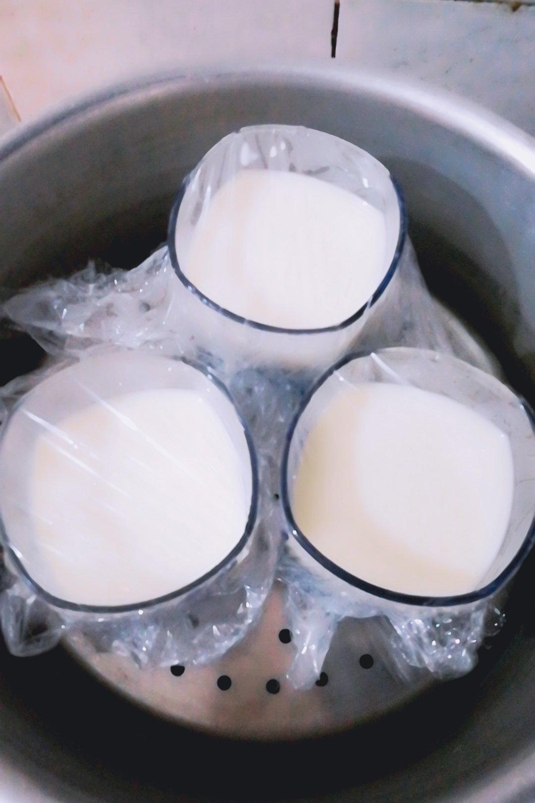 简单易学牛奶鸡蛋布丁