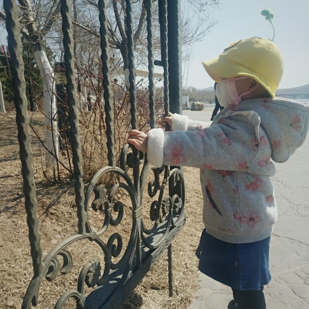 默默大宝