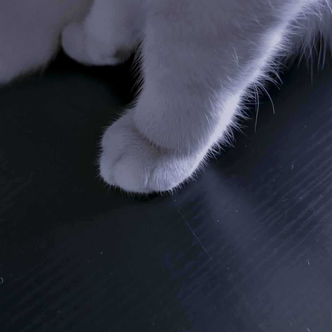 琳子吃不胖
