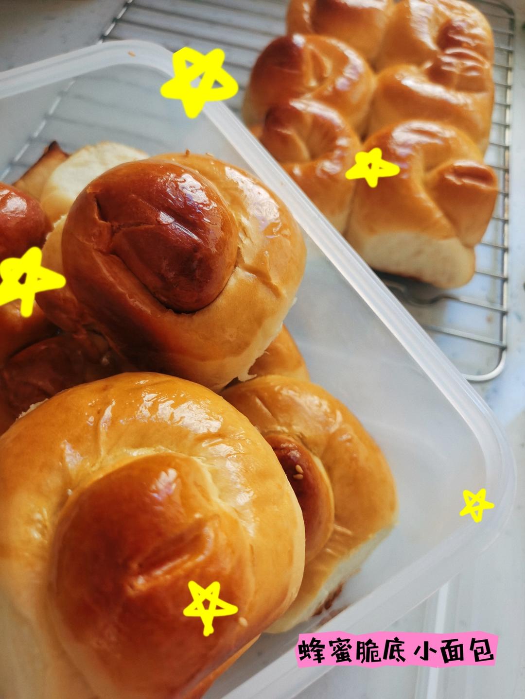 🍯蜂蜜脆底小面包🍞路边烘焙小铺的味道🏘