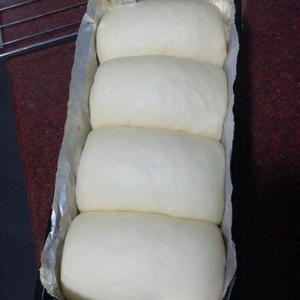 老式面包的做法 步骤3