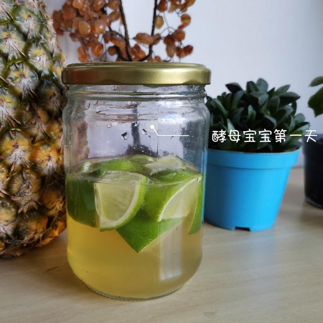 自制宠物-天然柠檬酵母