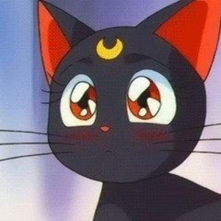 柠檬猫luna
