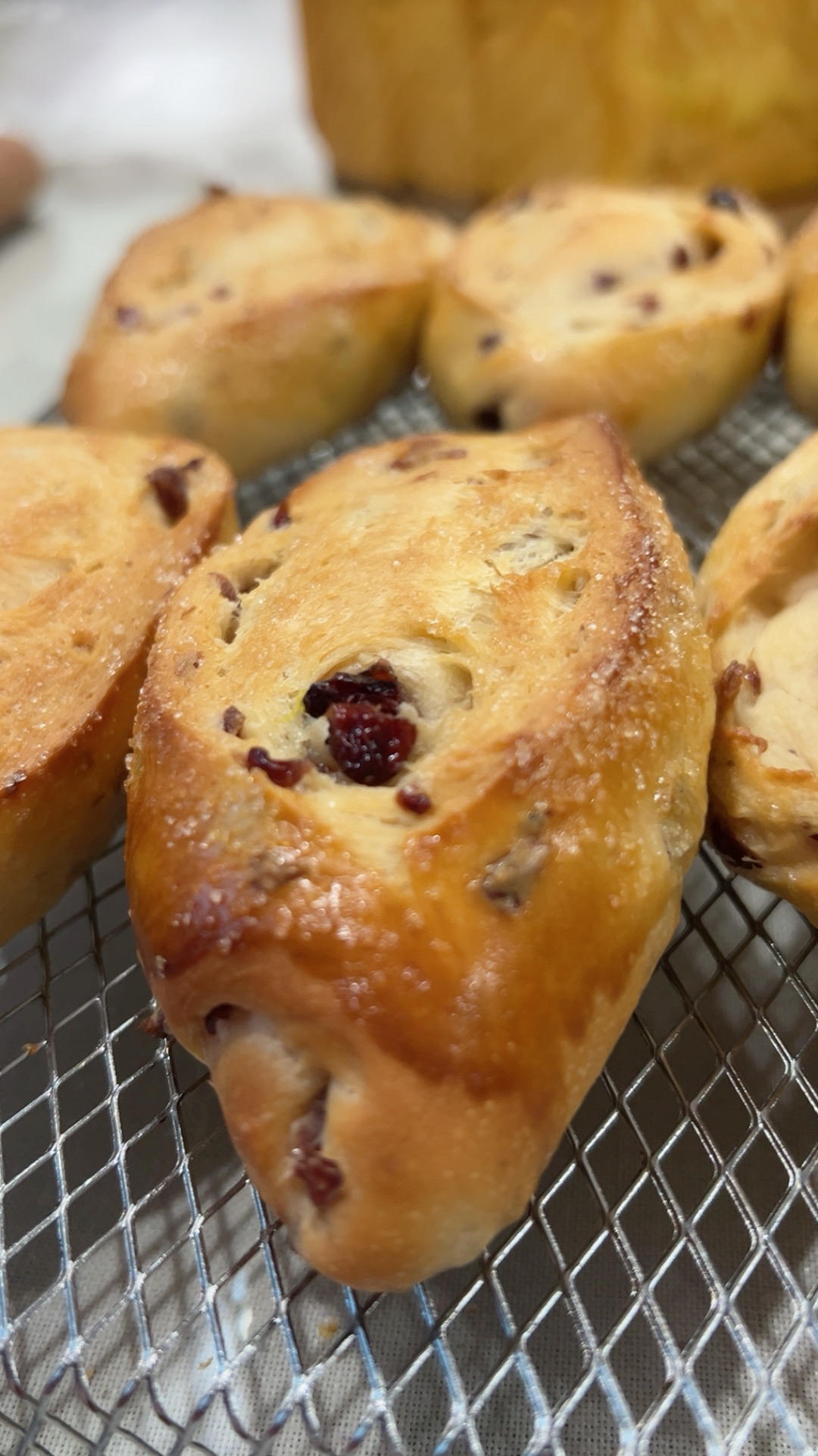 奶香松软的葡萄干面包｜有手就会