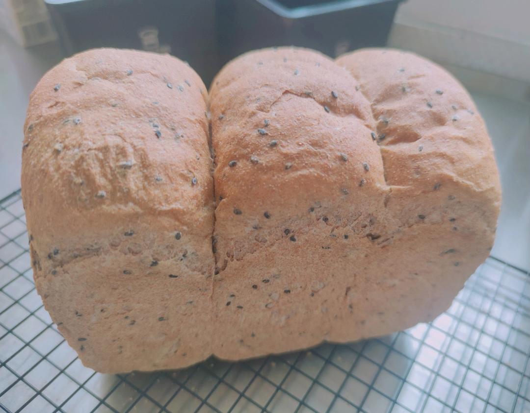 双种芝麻全麦吐司 100%全麦 烫种+波兰种