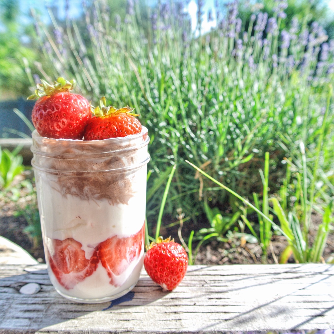 椰奶酒香草莓芝士杯（超快手呱呱杯）