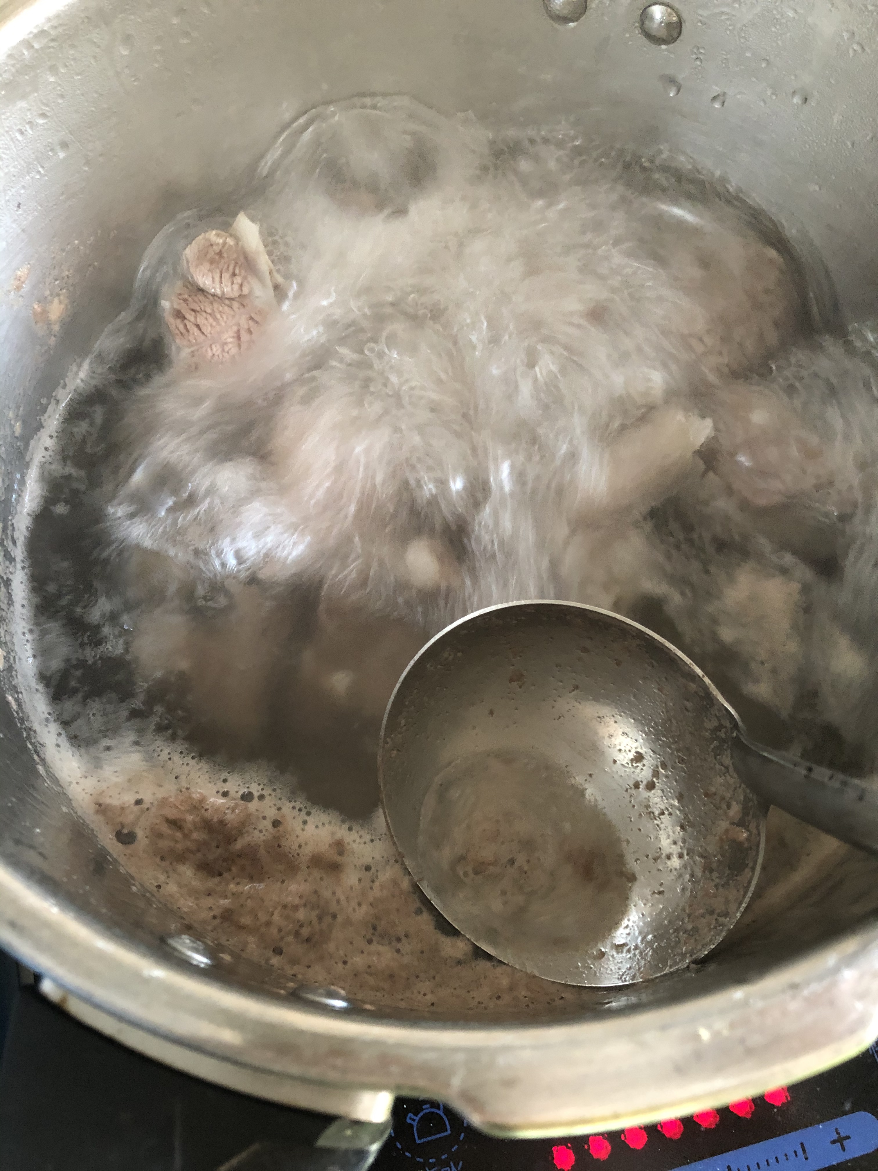 冬季❄️滋补羊肉汤的做法 步骤1