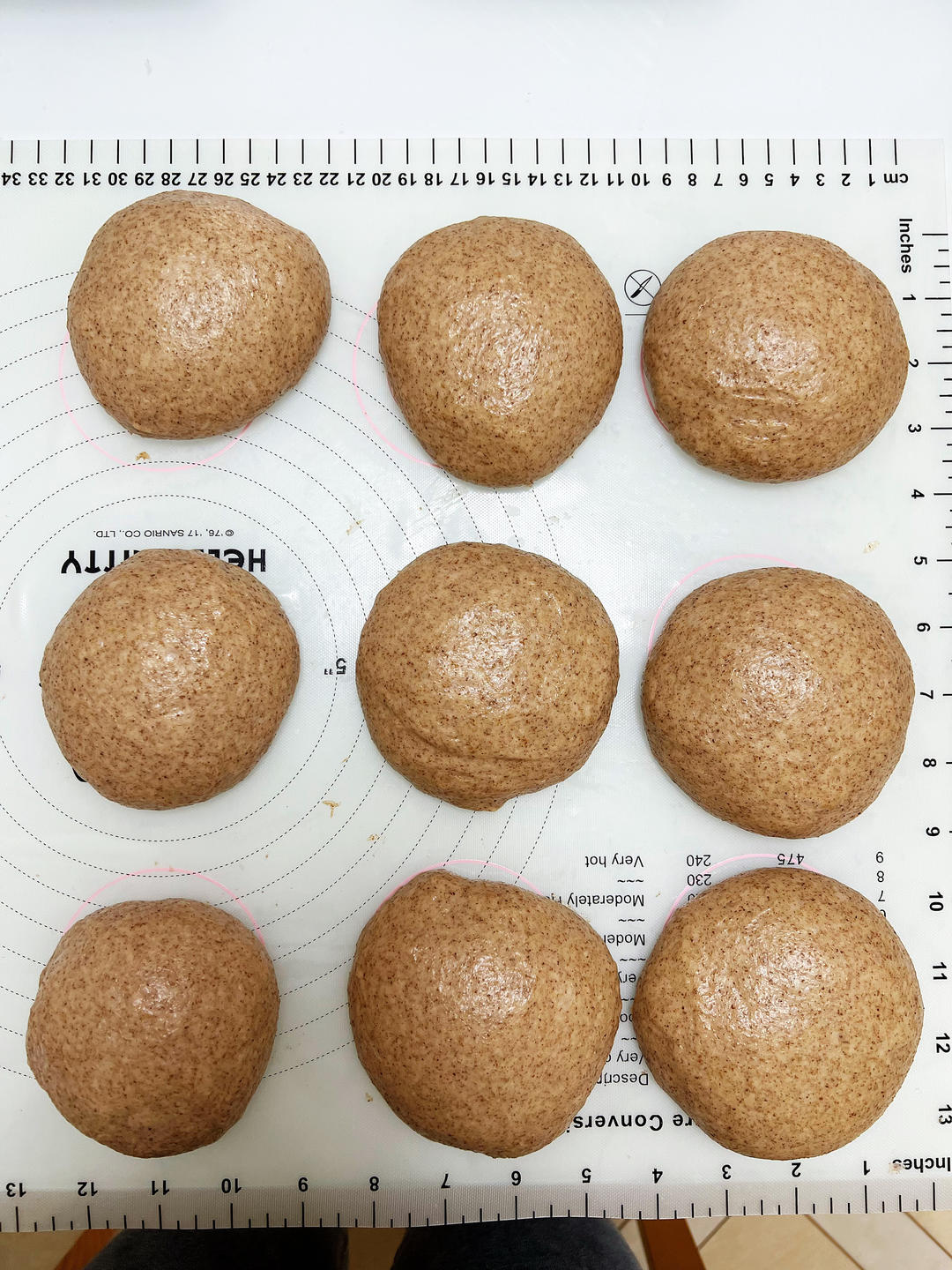 黑全麦波兰种吐司，这么柔软简直怀疑你是个假全麦！