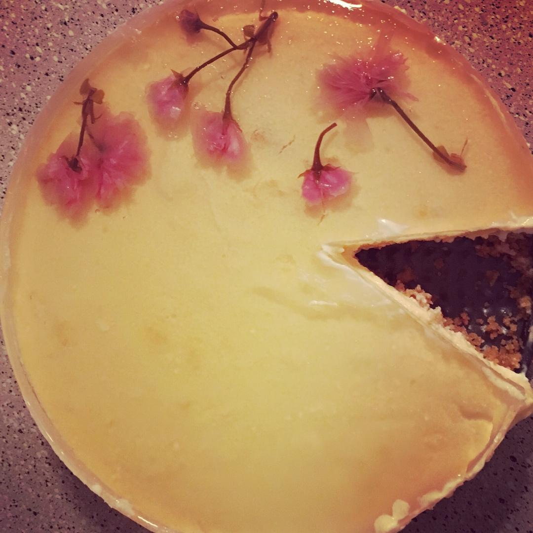 🌸樱花冻芝士蛋糕🌸6寸