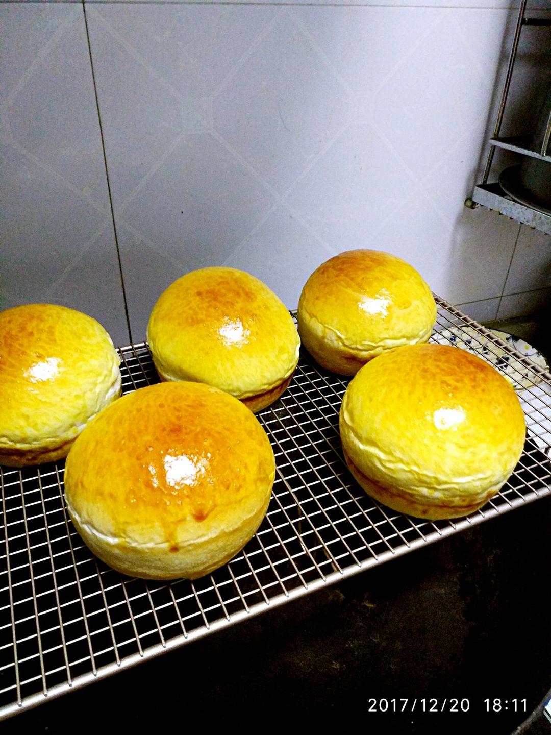 汉堡胚（中种法）