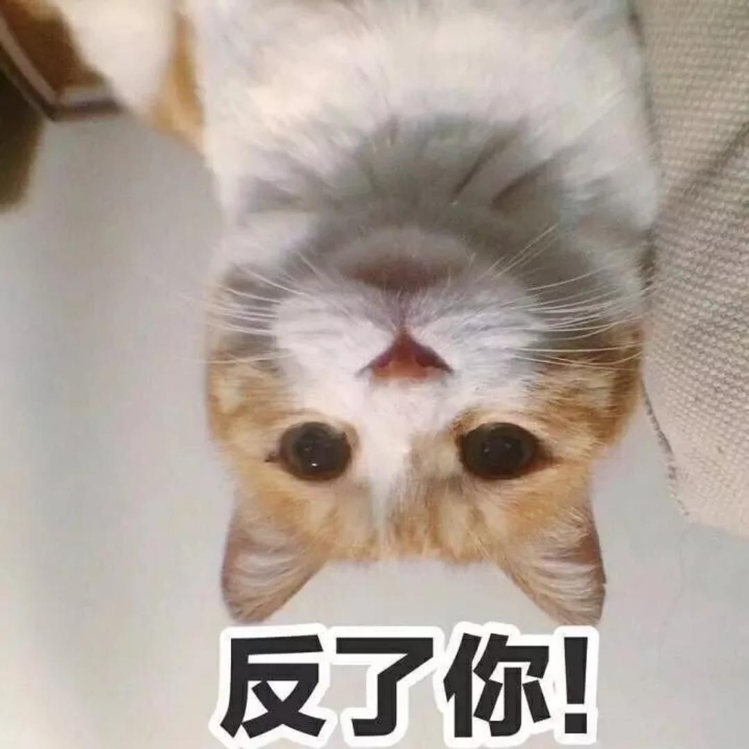 张怼怼怼怼怼