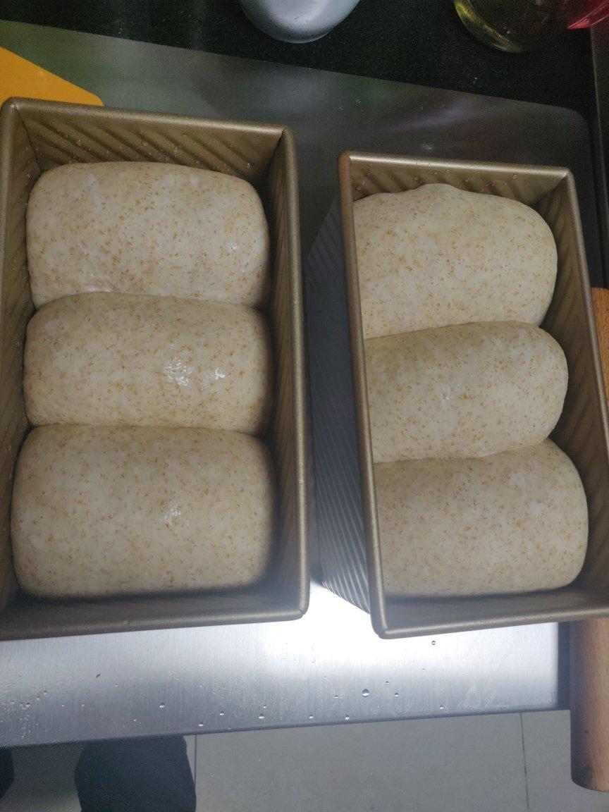 波兰种全麦吐司