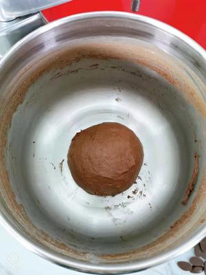 巧克力蘑菇面包（松软可口，一次发酵）的做法 步骤4