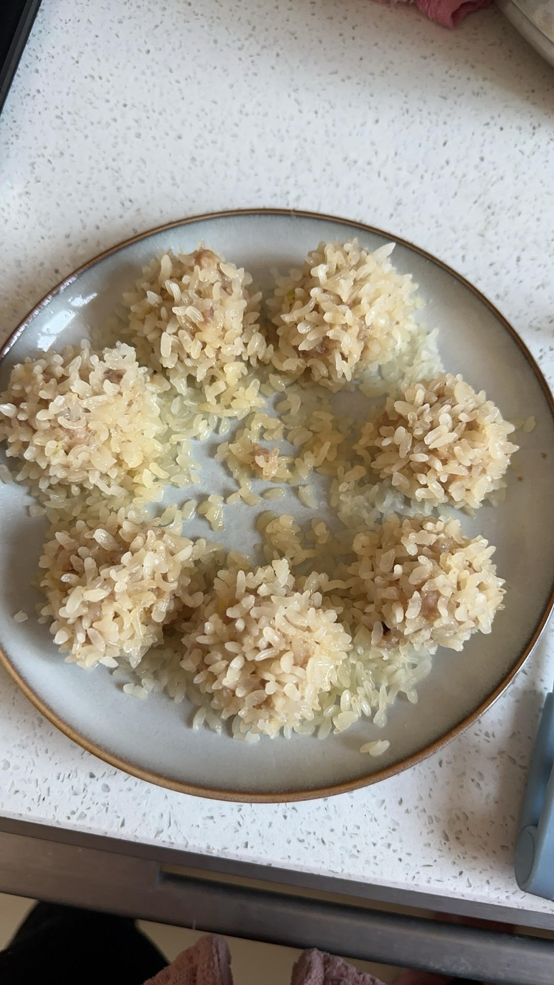 记录一下新手版珍珠肉丸