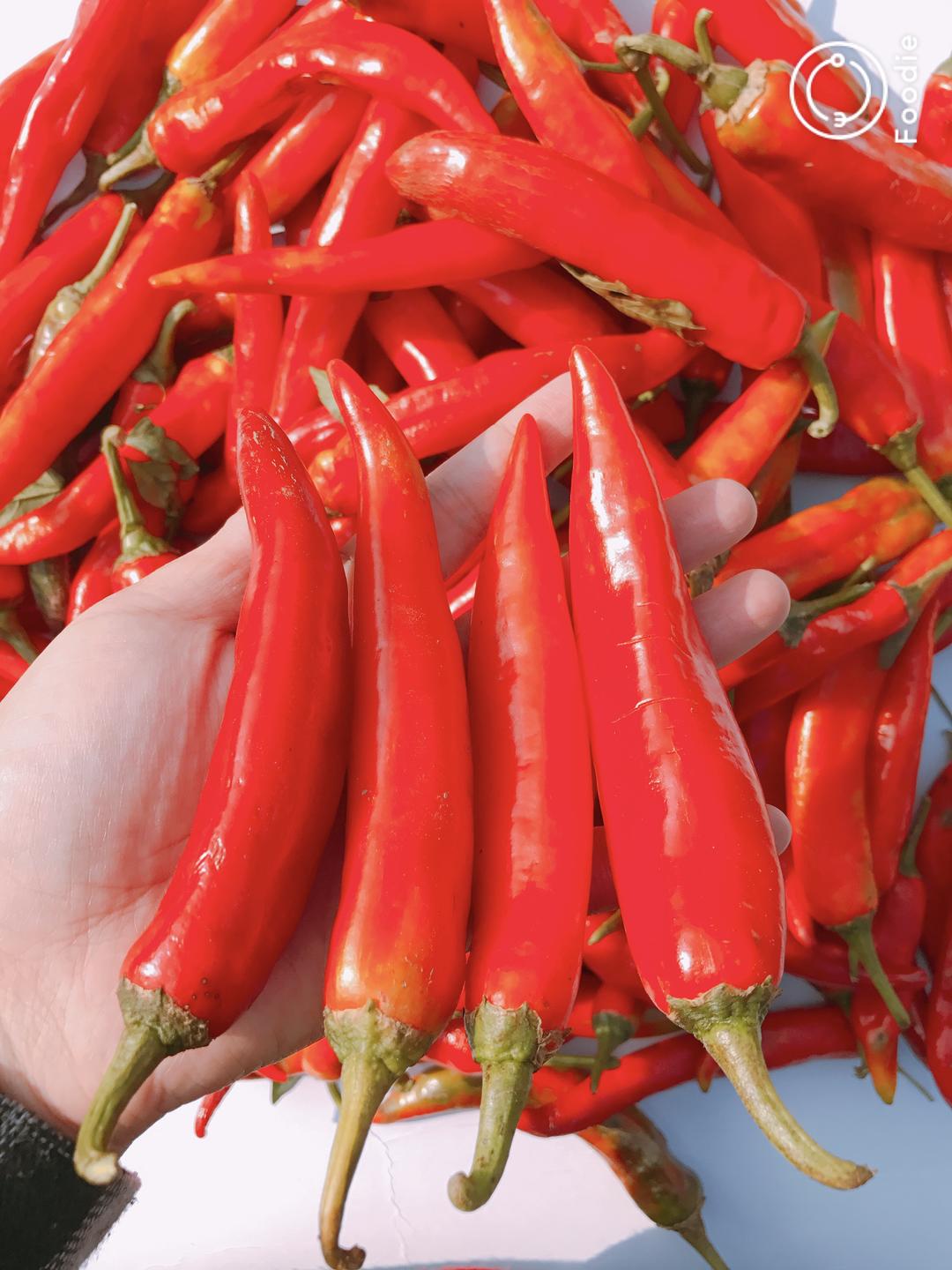 秘制川味剁椒酱