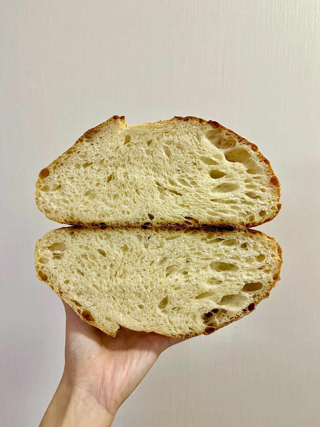 3.5小时快速直接法欧包丨免揉免机打免酵种