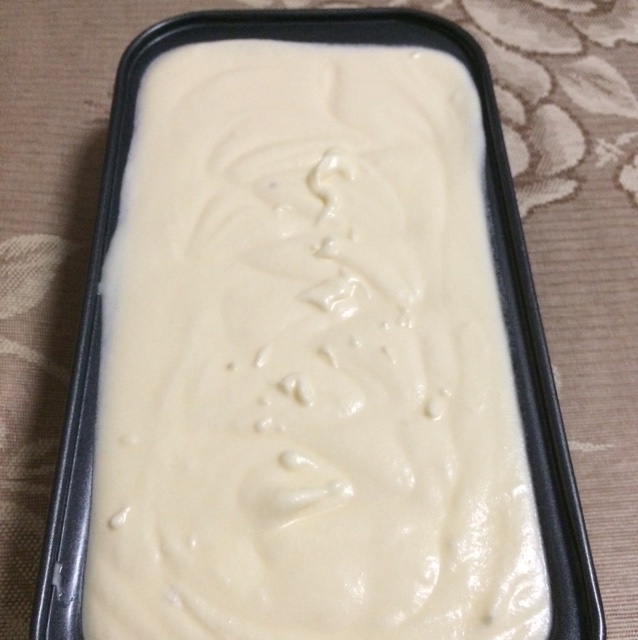 自制哈根达斯风味的冰淇淋