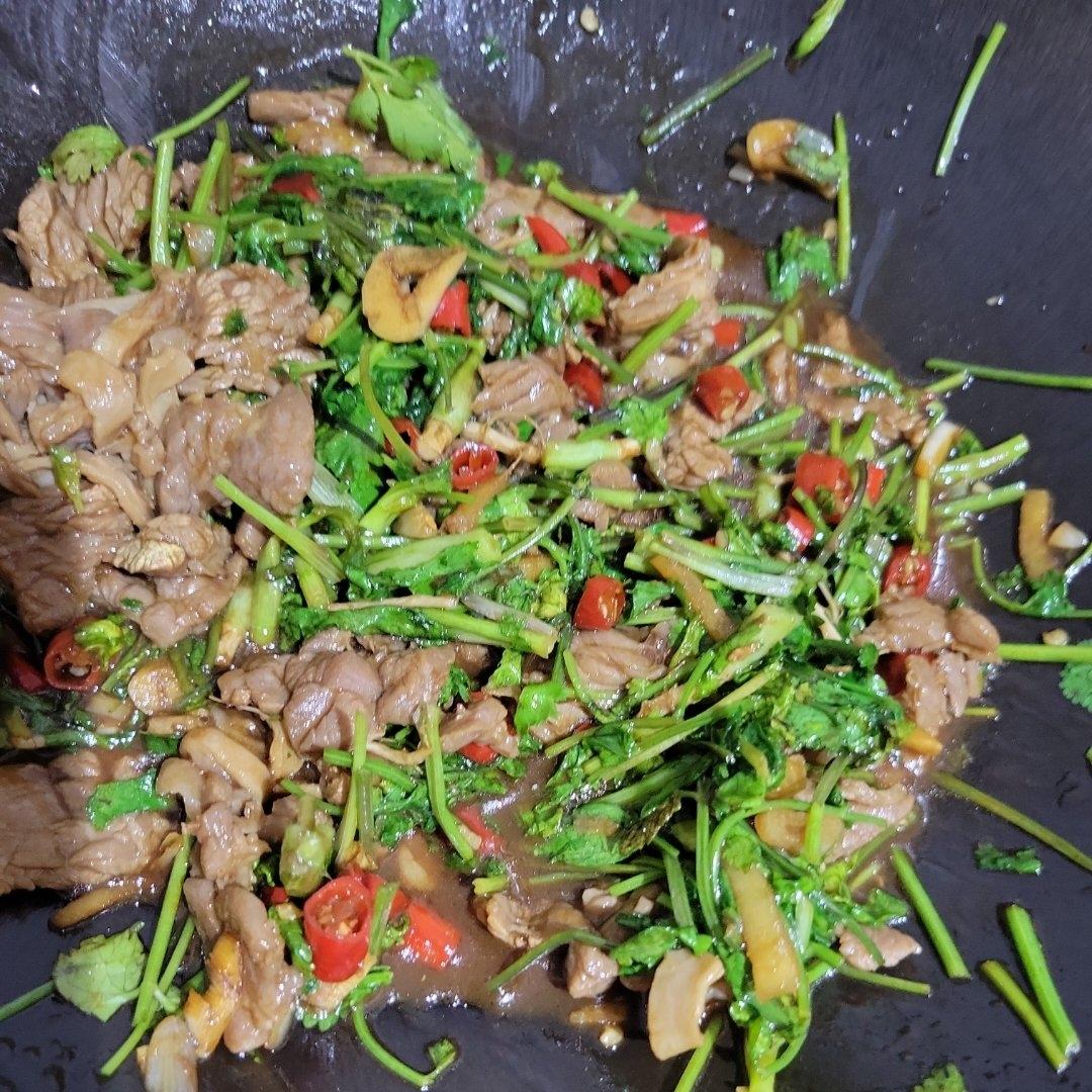 香菜炒牛肉，香辣下饭，爱吃香菜的朋友看过来，拌饭绝了