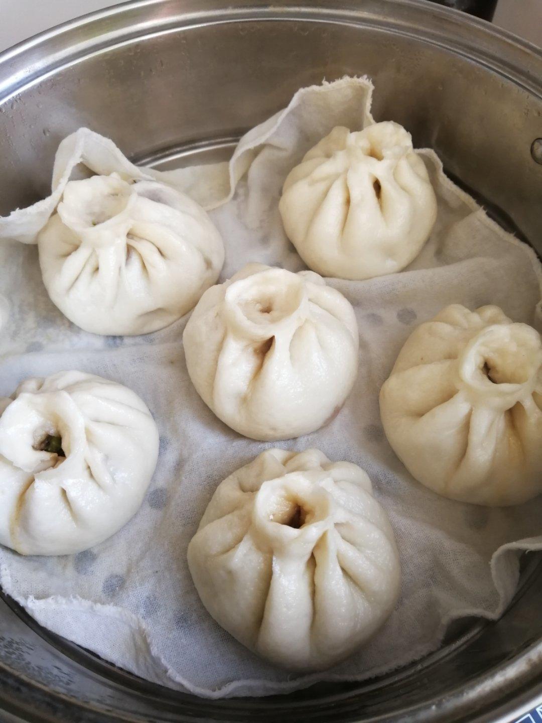 快速酱肉包子（自发粉）
