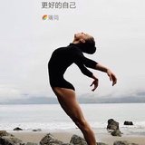 夏日的香樟