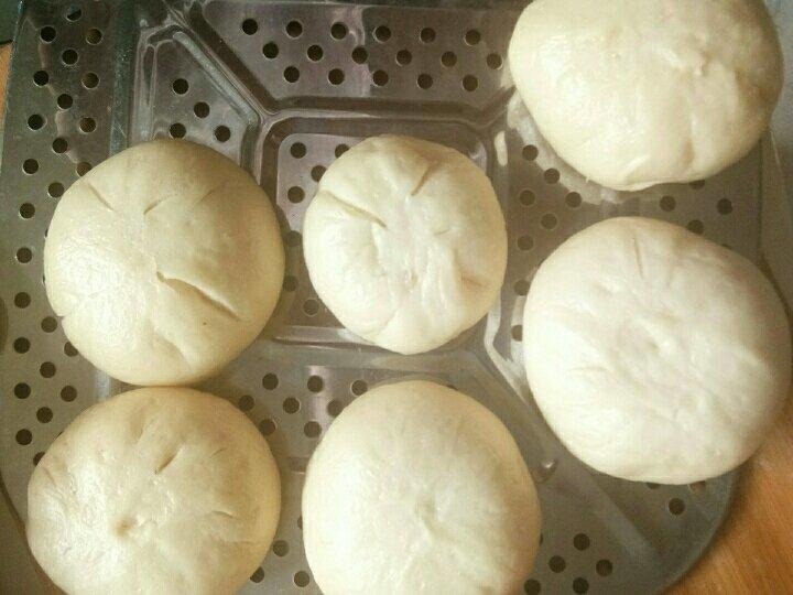 青菜香菇包子（一发二发记录）