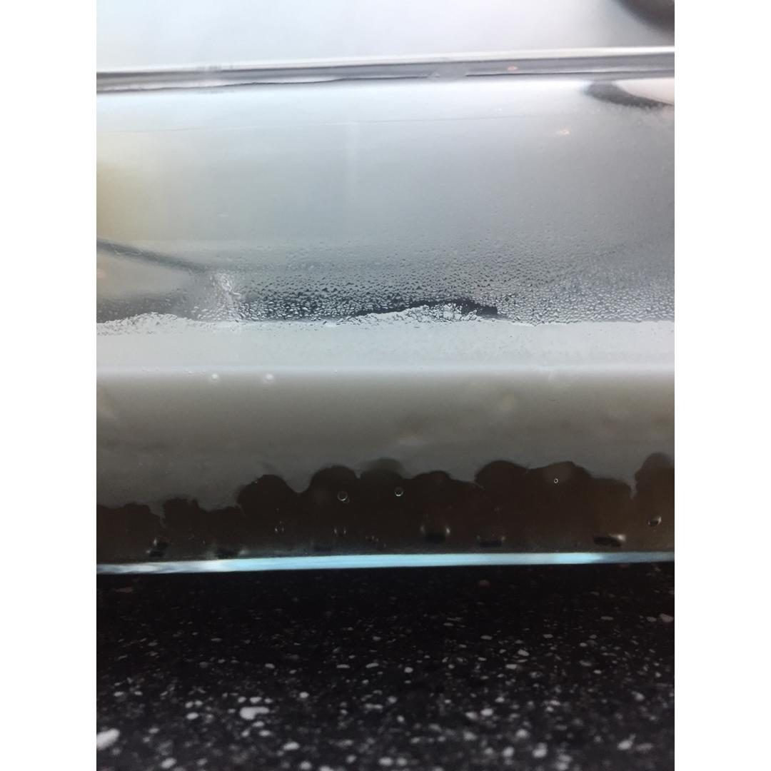 椰汁西米糕