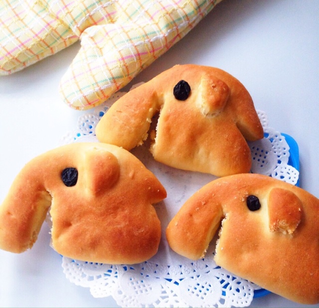 大象面包的全部作品