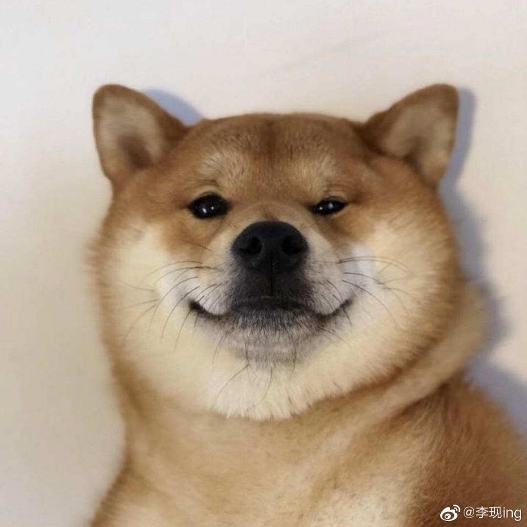 嘻哈炫蓝莓
