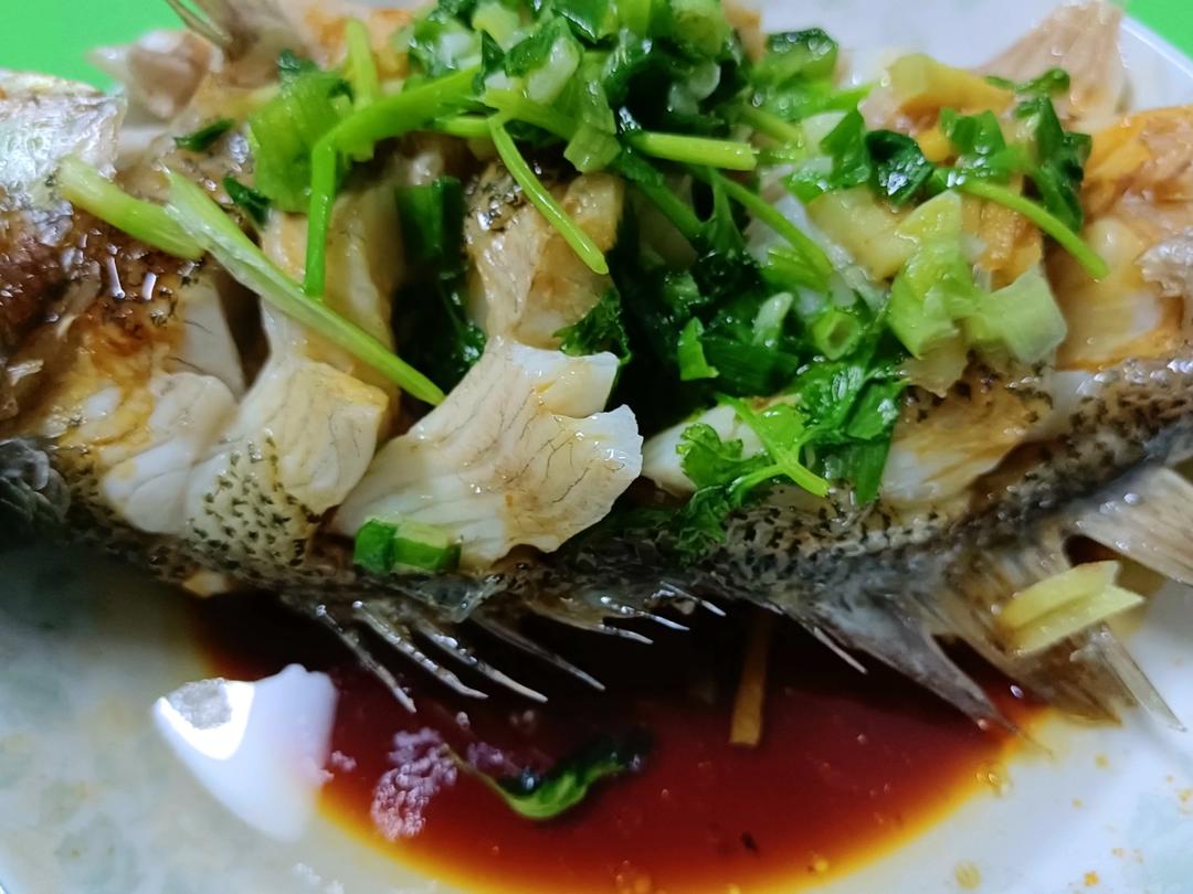 清蒸鲈鱼