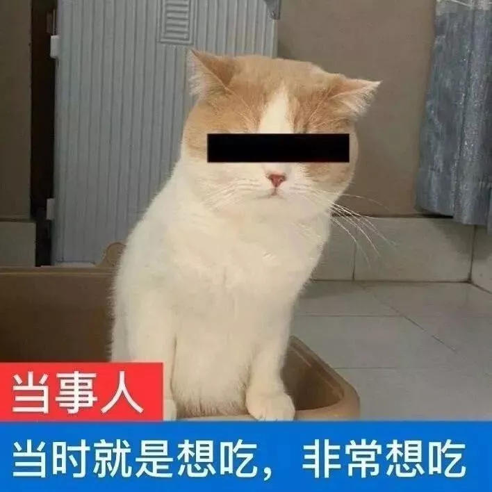 是平平无奇的厨房杀手