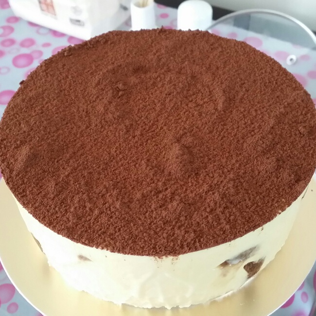 提拉米苏（硬身版）