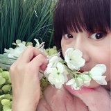 盘锦老猫