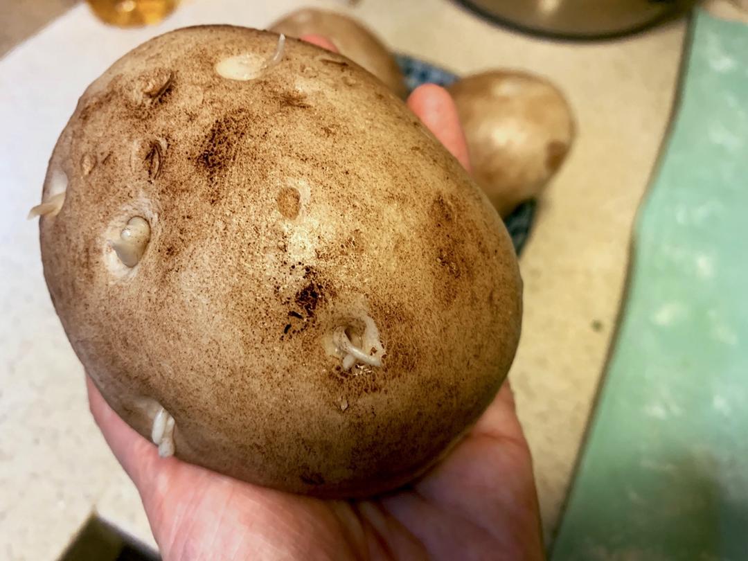 土豆🥔馒头