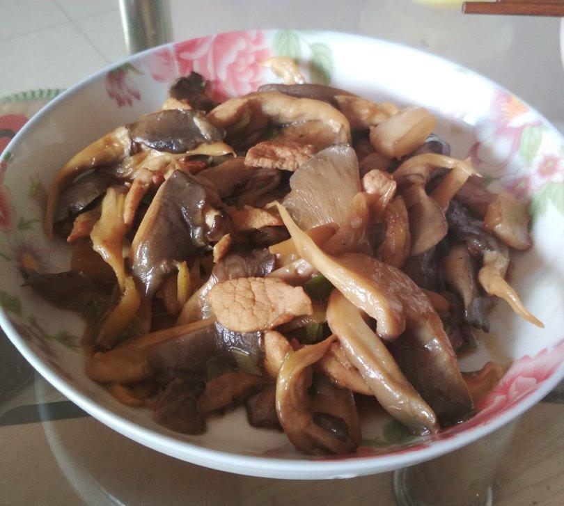 平菇/海鲜菇炒肉