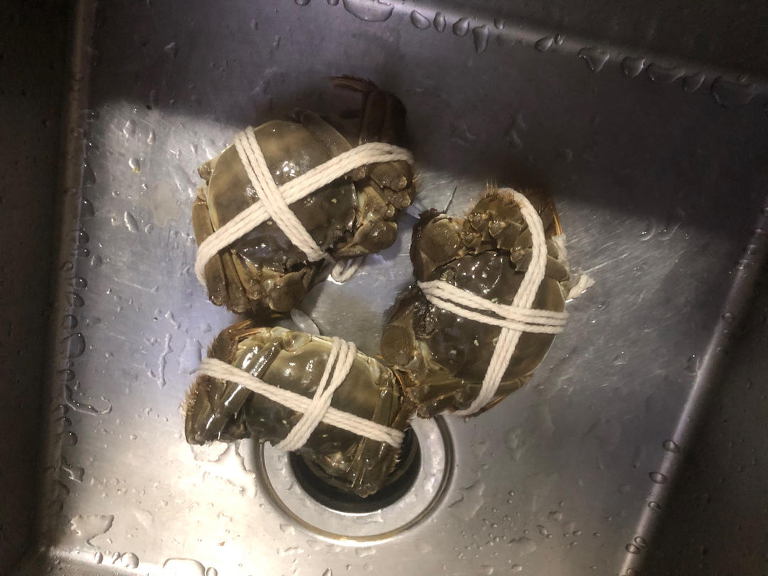 清蒸大闸蟹