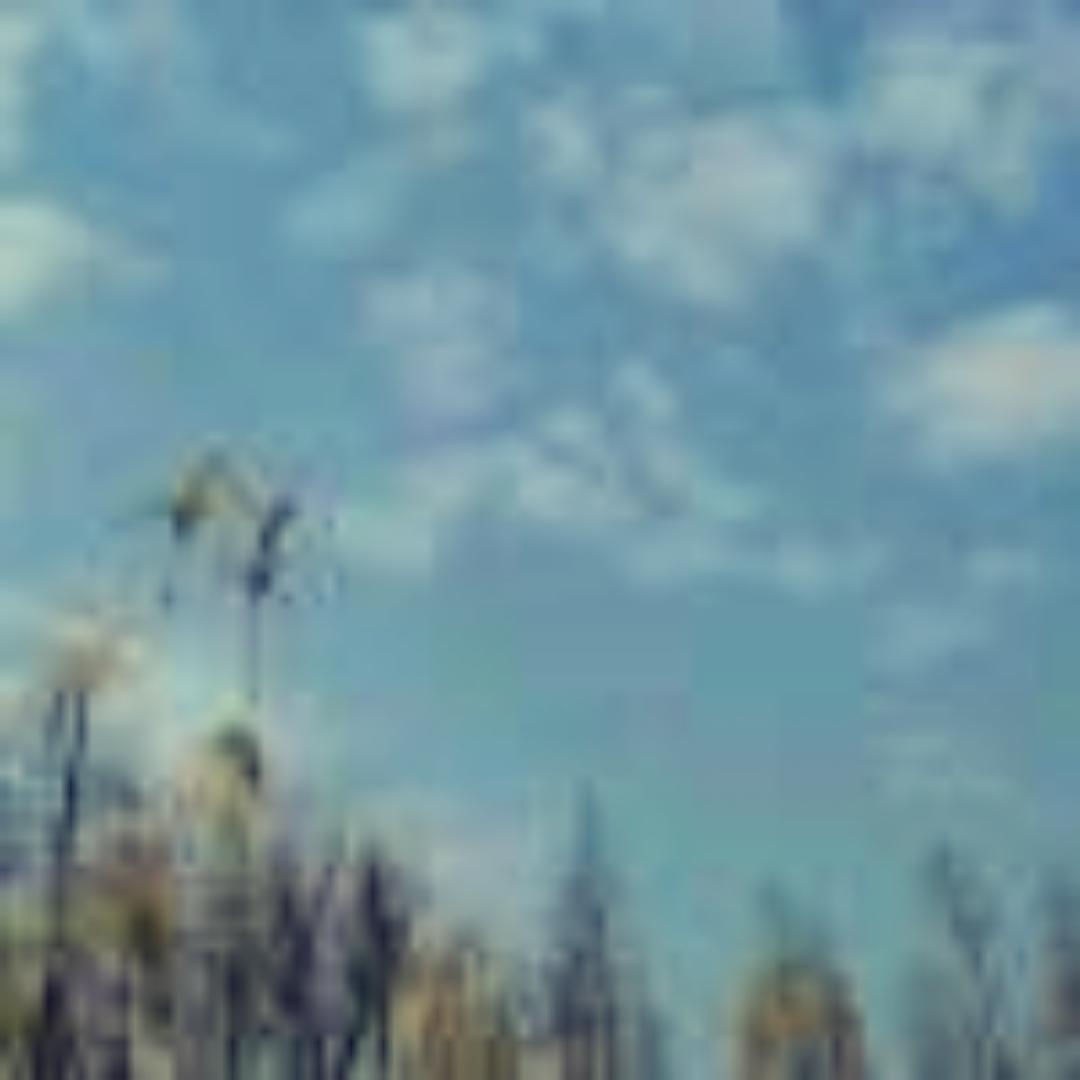 雨意兔