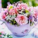 手机用户8667_0dz3