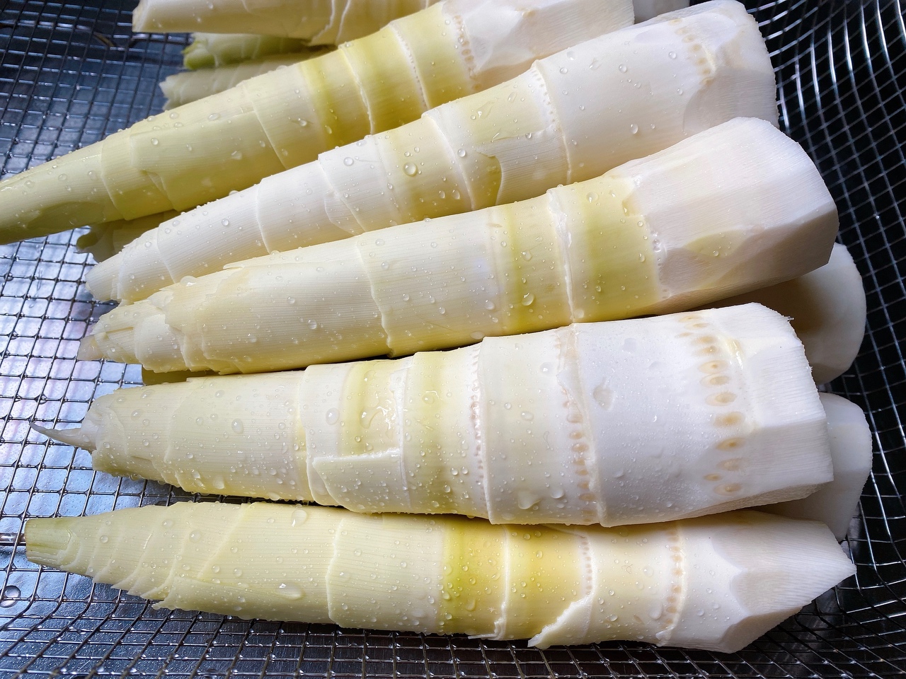 鲜笋的一种吃法与保存方法——笋丝雪菜与罐头的做法 步骤6