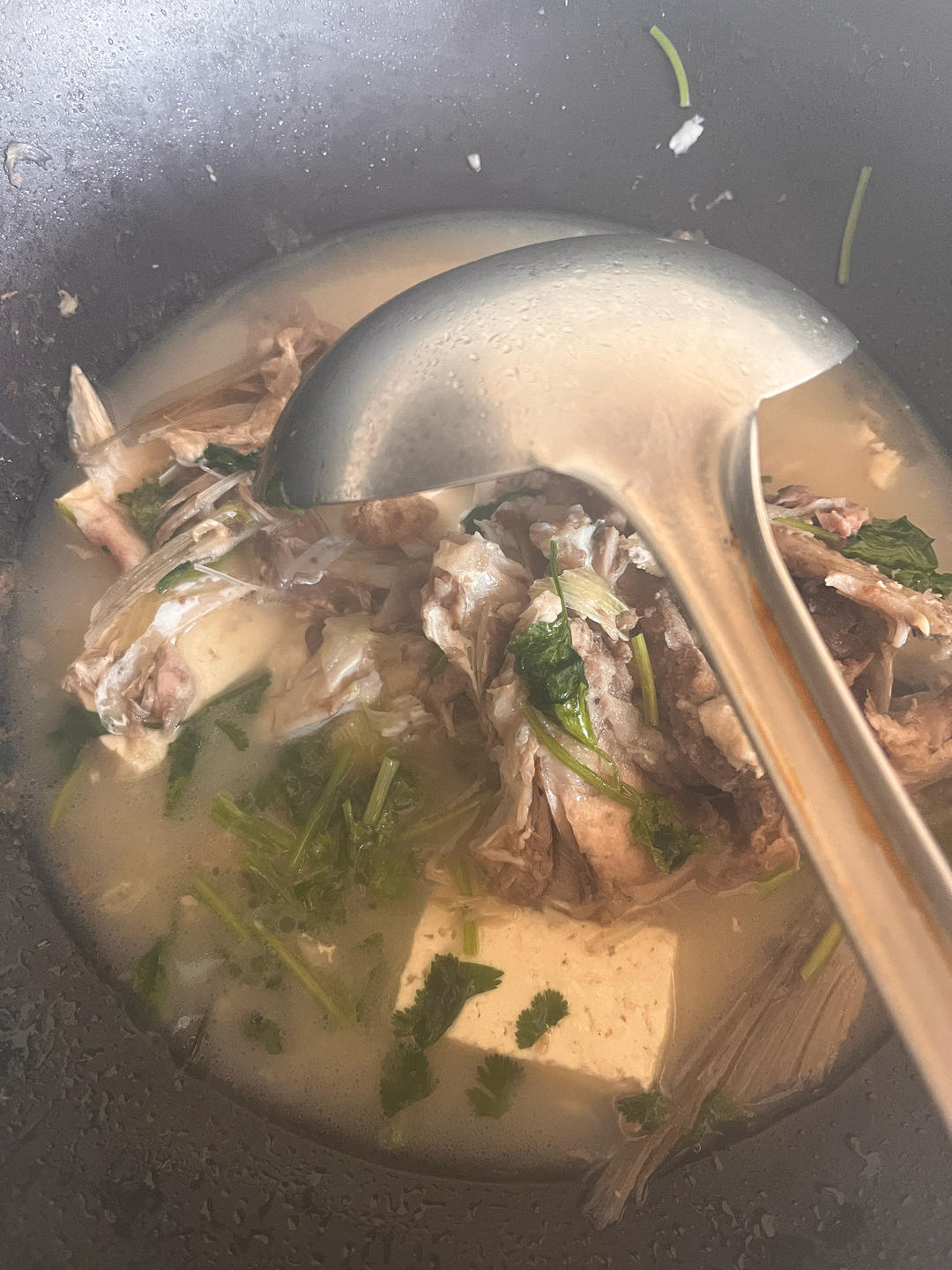 奶白鱼头汤（鲜）
