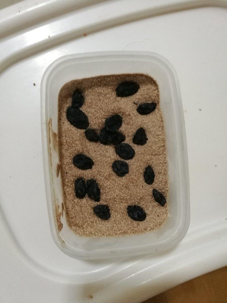 无需搅拌超简单的哈根达斯冰淇淋