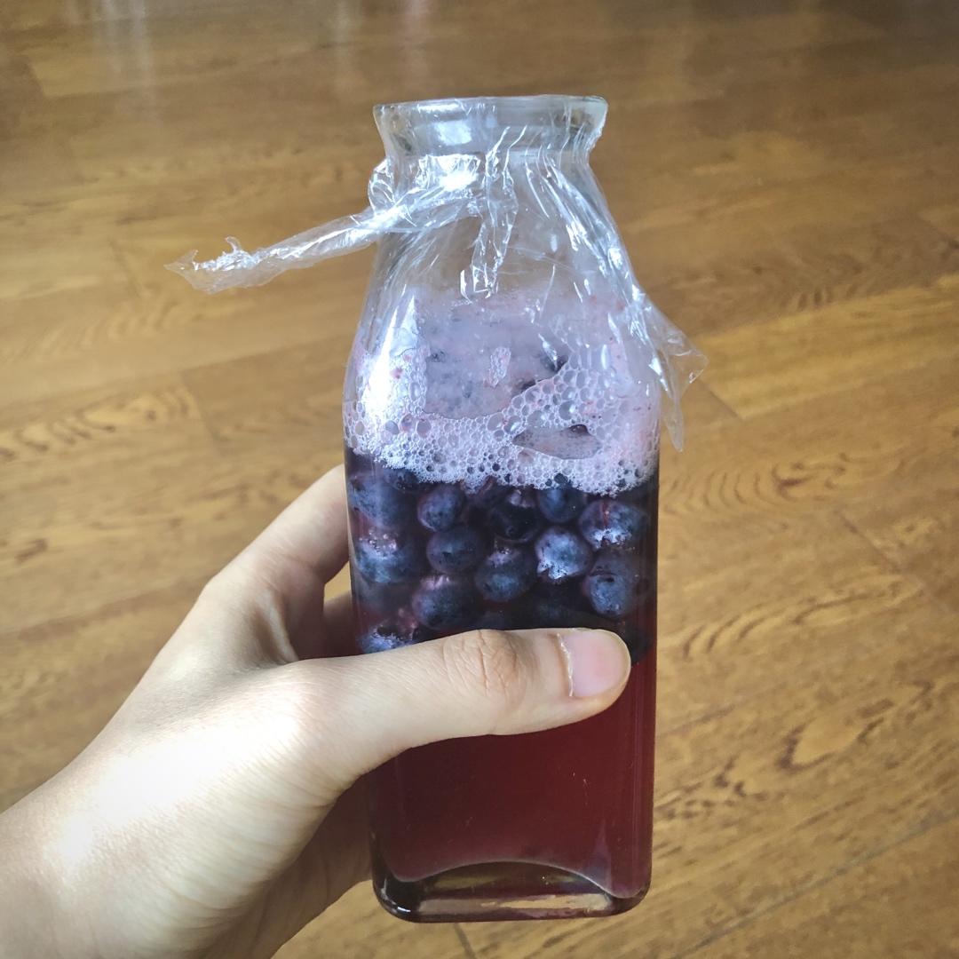 蓝莓种天然酵母培育——蓝莓天然酵母蔓越莓全麦发糕