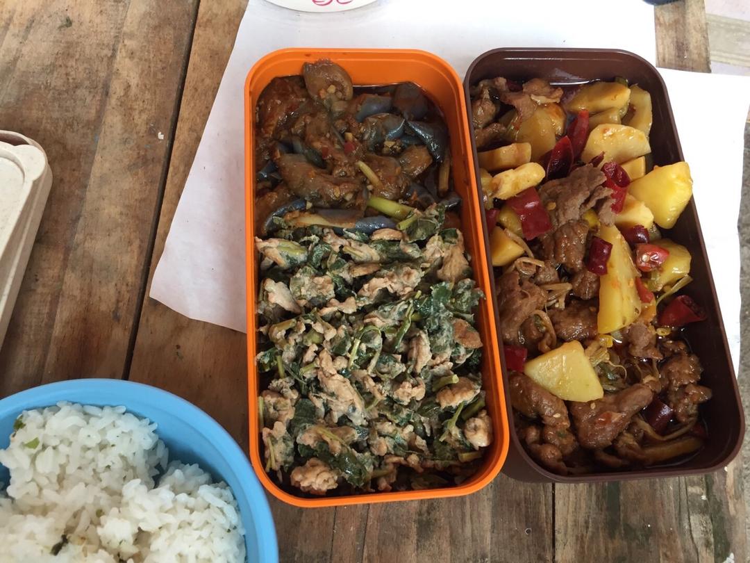 我开始带午饭啦