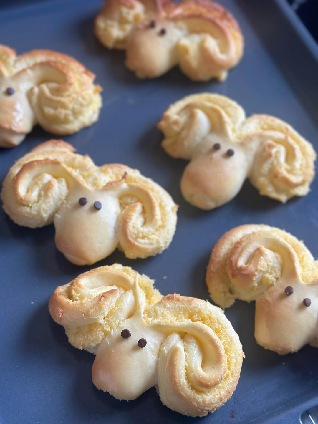 椰蓉小面包|🐏小绵羊|🐙小章鱼|可可爱爱|哄娃必备