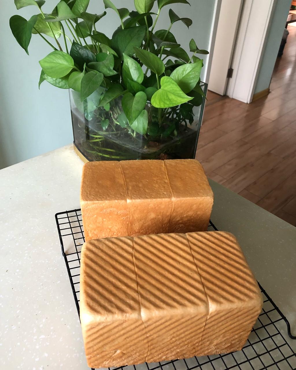 夺命软吐司(๑´ڡ`๑)超软拉丝极速方便的一次发酵吐司