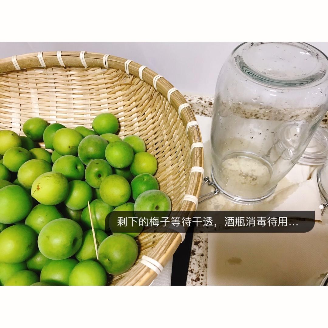 自酿超好喝的青梅酒/梅子酒
