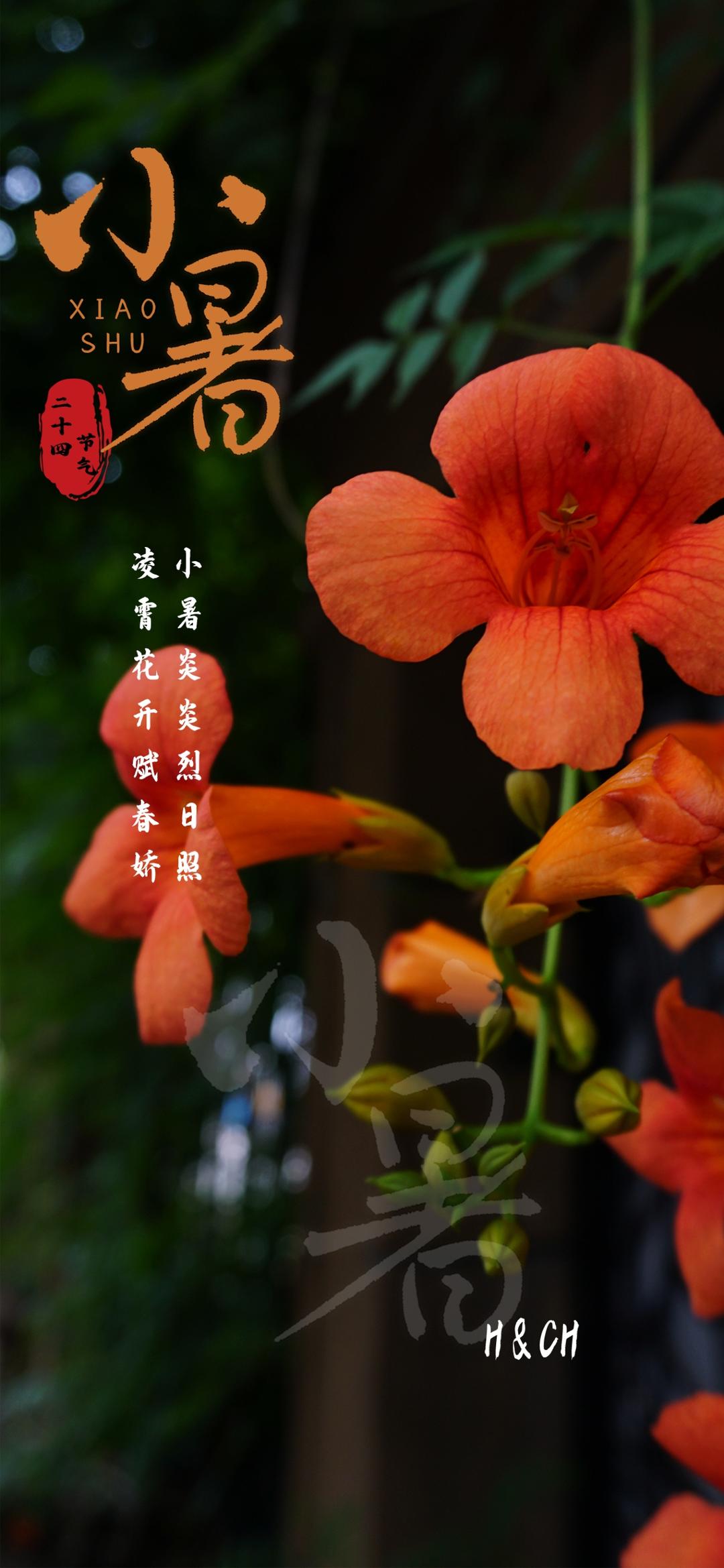 二十四节气的图